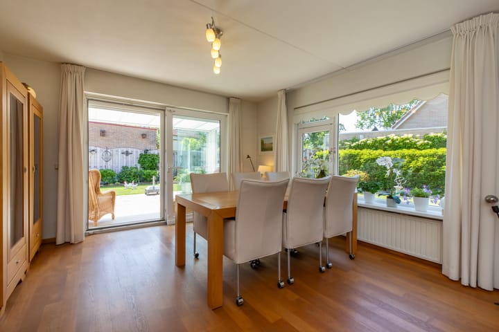 Foto 9 van Vlaamse Gaai 7