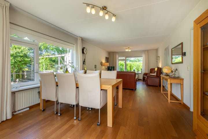 Foto 10 van Vlaamse Gaai 7