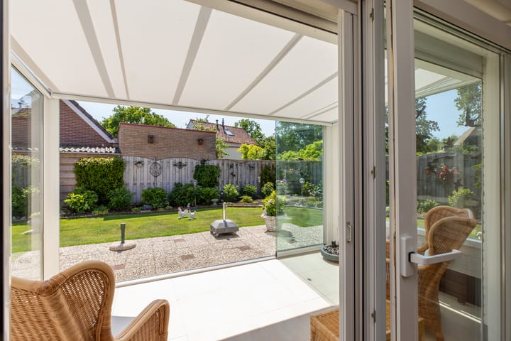 Foto 11 van Vlaamse Gaai 7