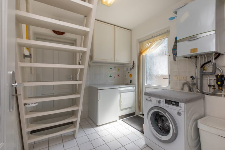 Foto 18 van Vlaamse Gaai 7