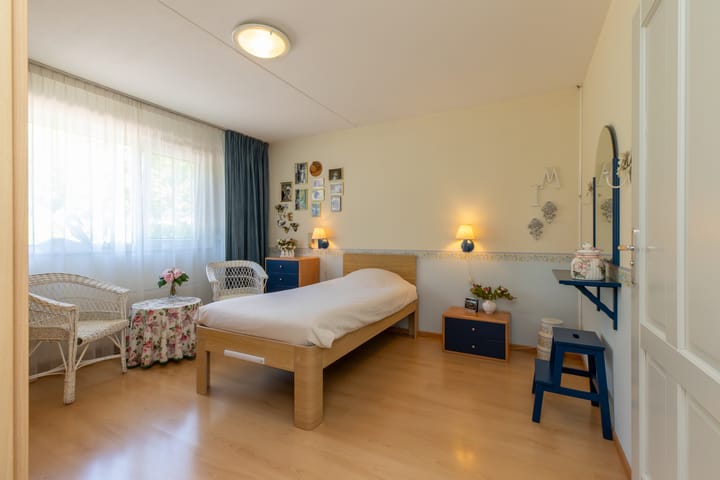 Foto 19 van Vlaamse Gaai 7