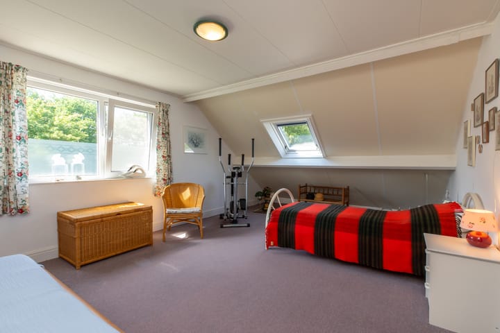 Foto 27 van Vlaamse Gaai 7