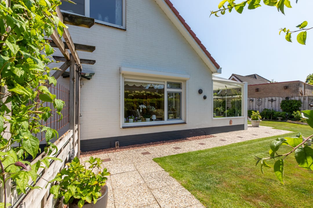 Photo 41 of Vlaamse Gaai 7