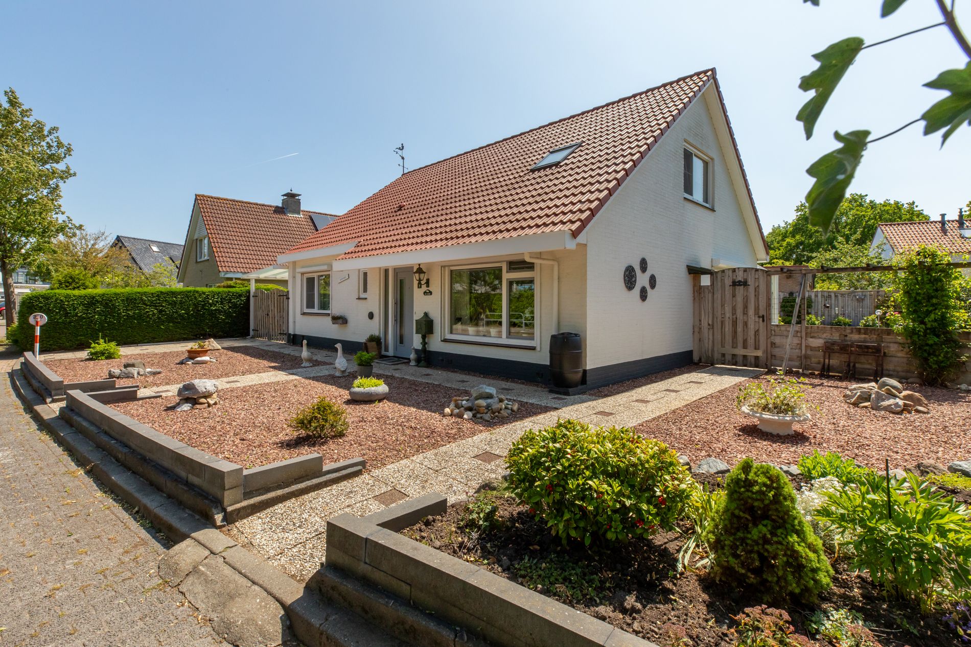 Photo 42 of Vlaamse Gaai 7