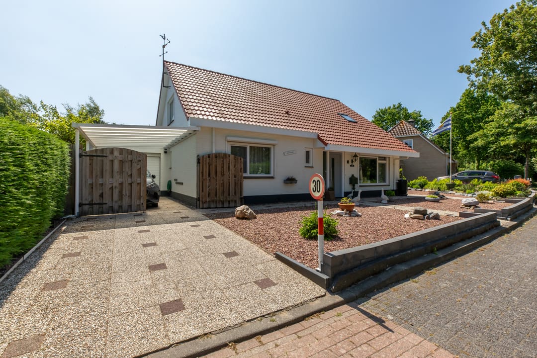 Photo 43 of Vlaamse Gaai 7