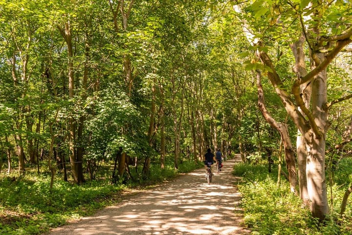 Foto 46 van Vlaamse Gaai 7