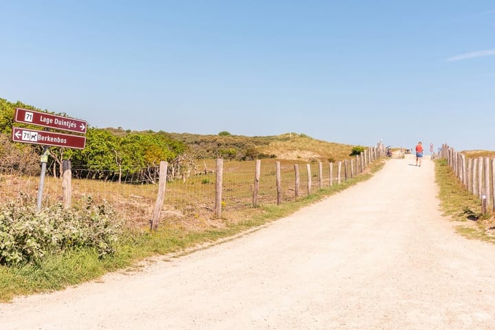 Foto 47 van Vlaamse Gaai 7