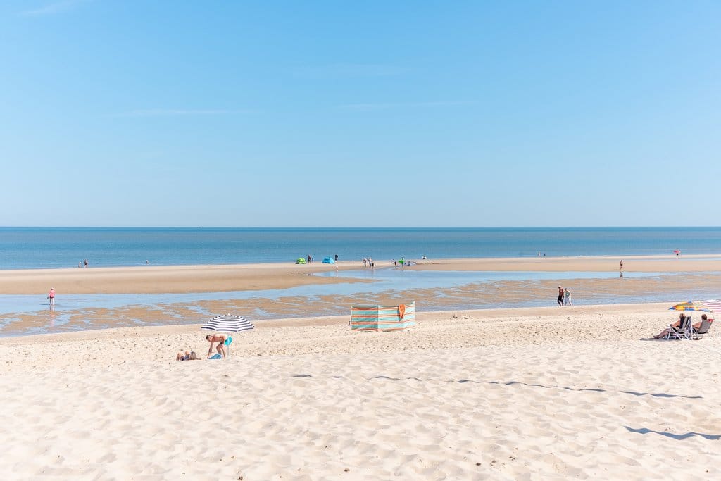 Photo 48 of Vlaamse Gaai 7