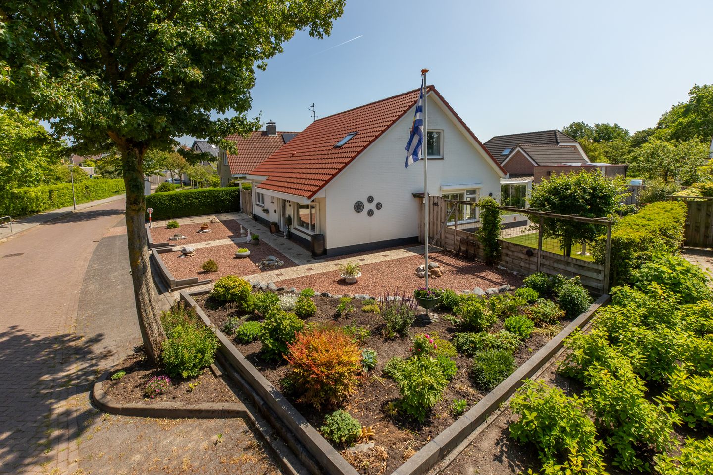 Photo 5 of Vlaamse Gaai 7