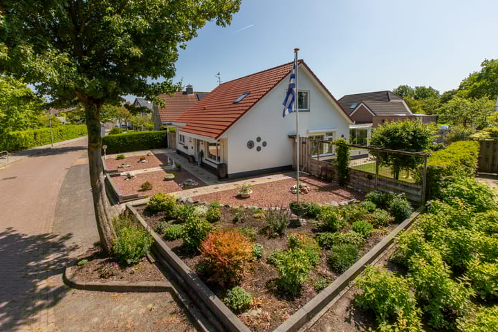 Foto 3 van Vlaamse Gaai 7