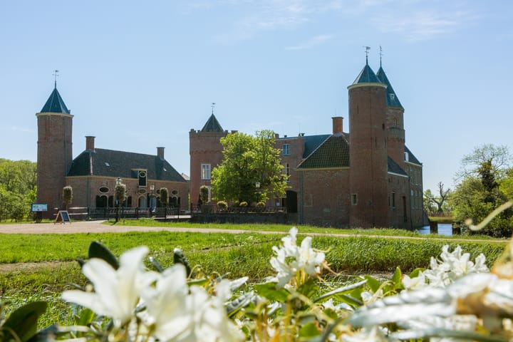 Foto 49 van Vlaamse Gaai 7