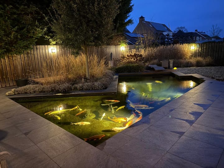 Foto 33 van De Band 62