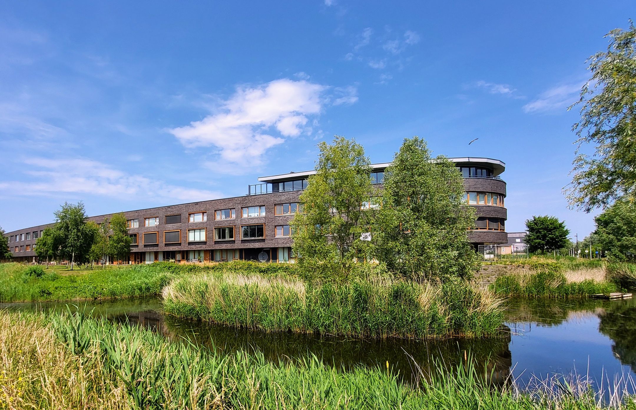 Foto 21 van Buitenhof 80