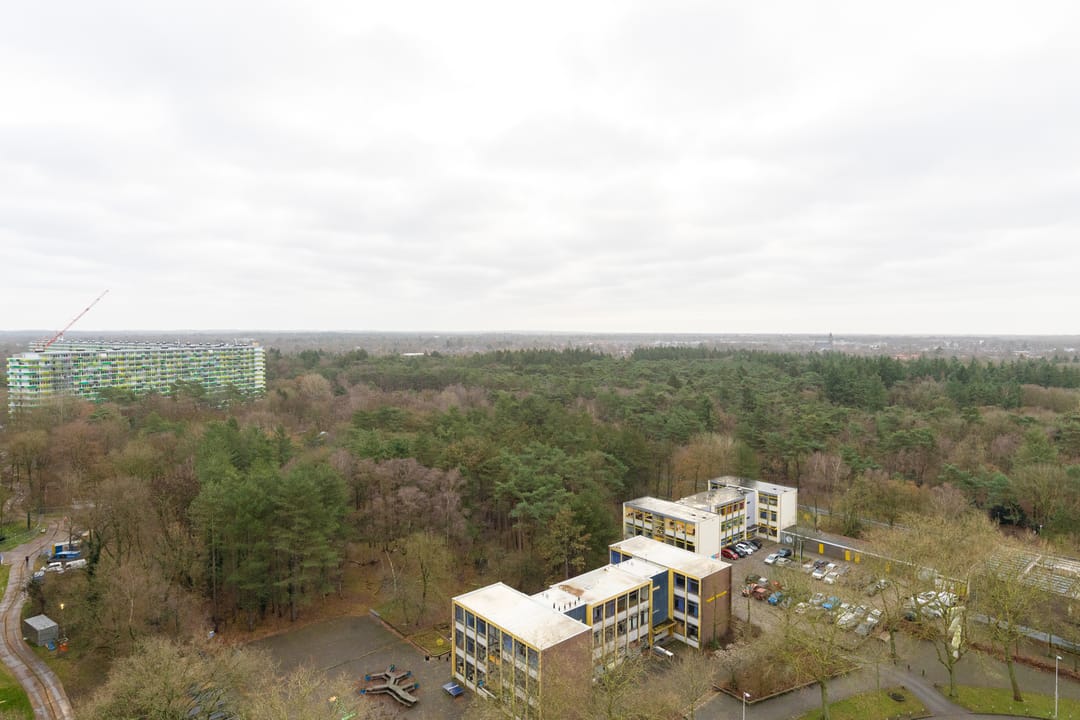 Foto 16 van Laan van Vollenhove 722