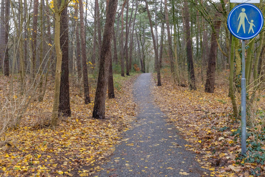 Foto 31 van Laan van Vollenhove 722