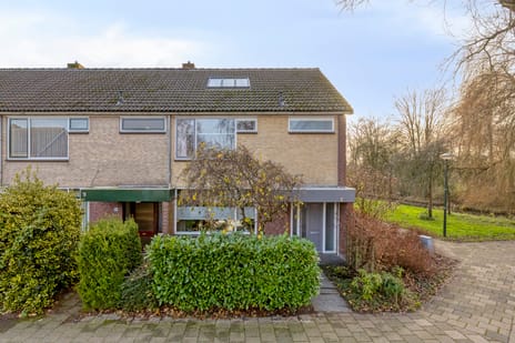 undefined main image