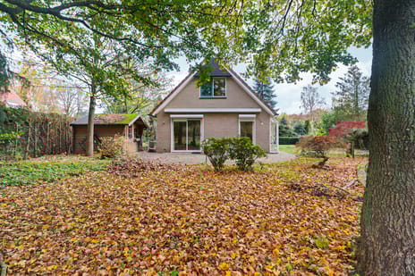 undefined main image