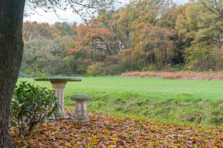 Photo 18 of Wighenerhorst 49