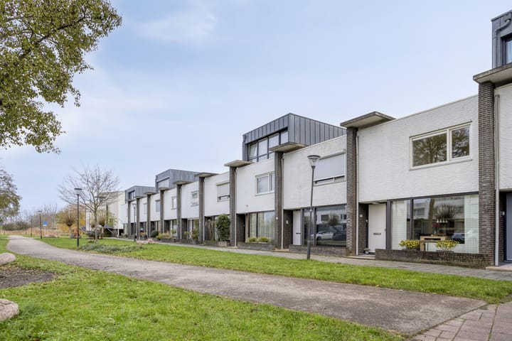 Photo 4 of Weegbree 63