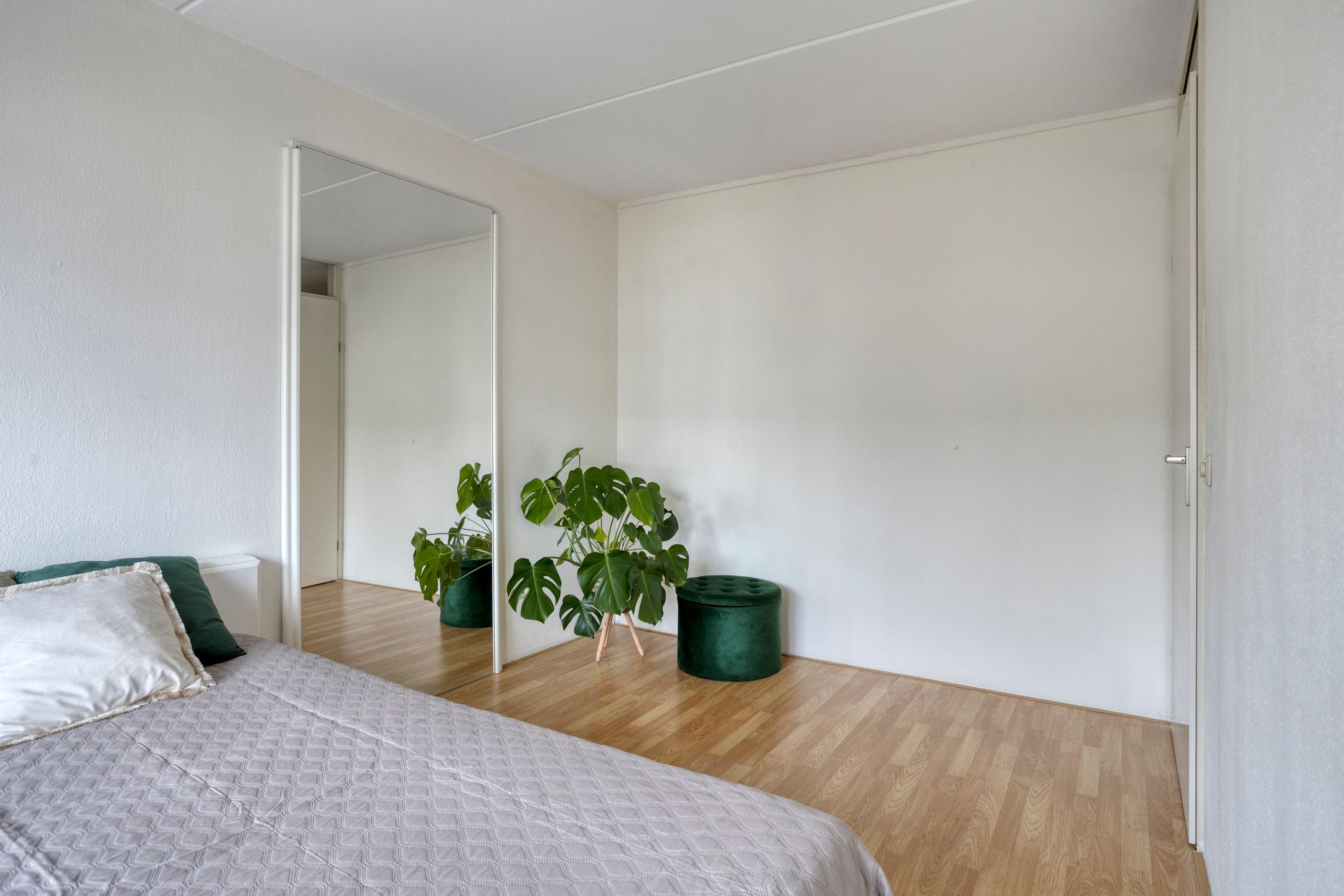 Photo 15 of Weegbree 63