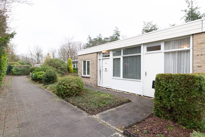 Foto 4 van Albert Schweitzerplantsoen 38