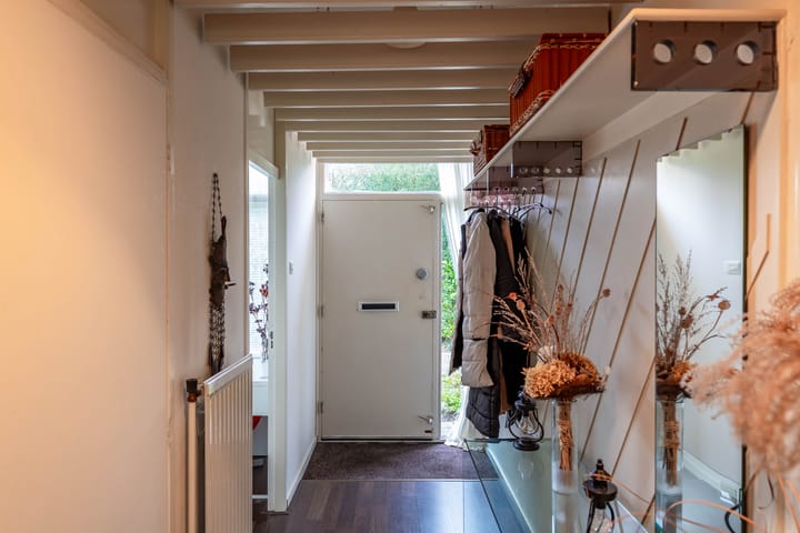 Foto 6 van Albert Schweitzerplantsoen 38