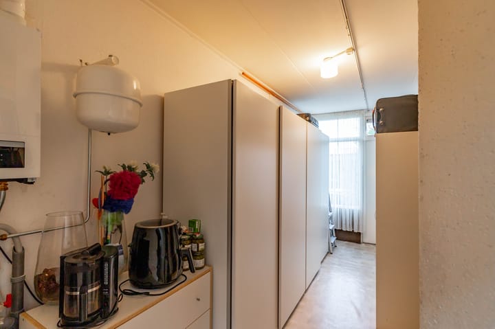 Foto 19 van Albert Schweitzerplantsoen 38