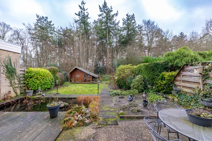 Foto 27 van Albert Schweitzerplantsoen 38