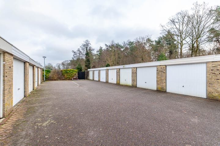 Foto 31 van Albert Schweitzerplantsoen 38