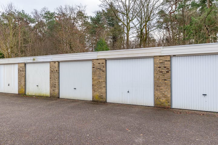 Foto 32 van Albert Schweitzerplantsoen 38