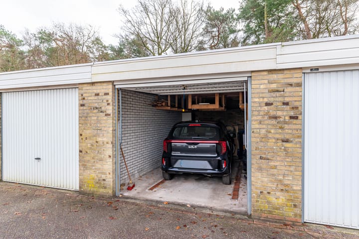 Foto 33 van Albert Schweitzerplantsoen 38