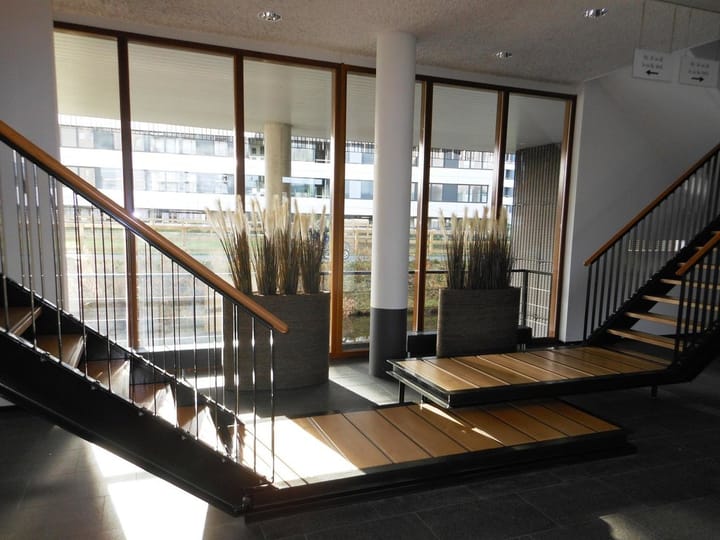 Photo 18 of Luzernevlinder 17