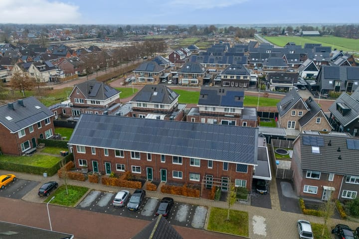 Photo 3 of Vingerhoedskruid 11