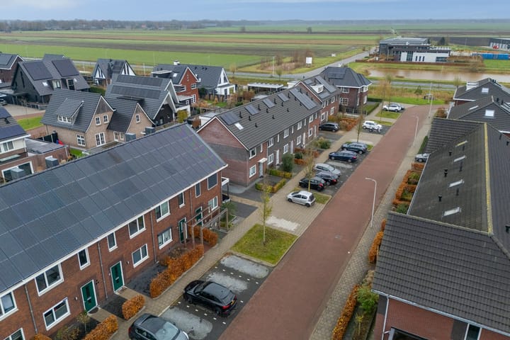 Photo 6 of Vingerhoedskruid 11