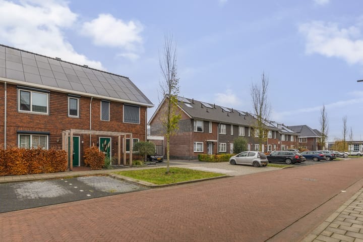 Photo 35 of Vingerhoedskruid 11