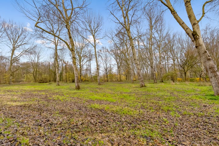 Foto 48 van Kolkgriend 21