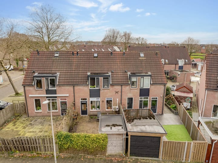 Foto 5 van De Spits 4