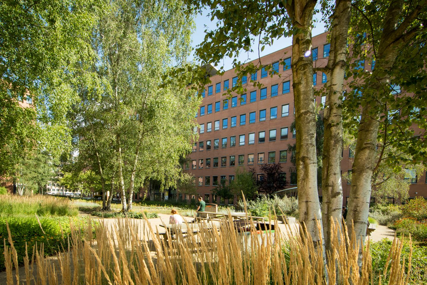 View photo 3 of Hullenbergweg 81-135