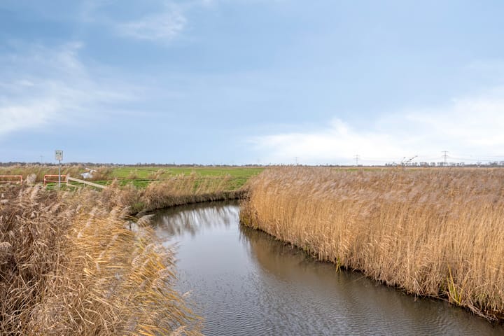 Foto 43 van Theo Mann-Bouwmeesterstraat 51