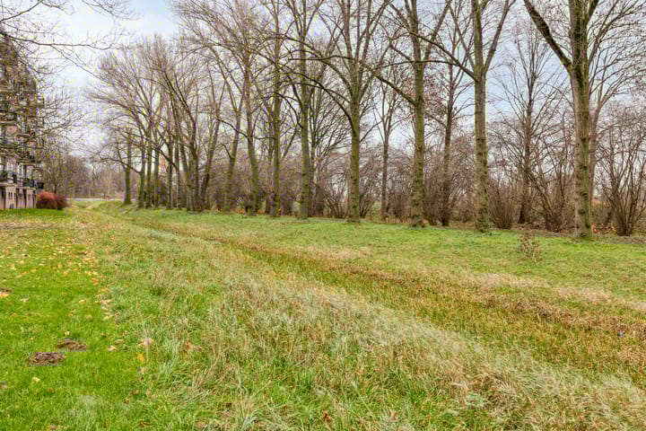 Foto 28 van Berkenlaan 145