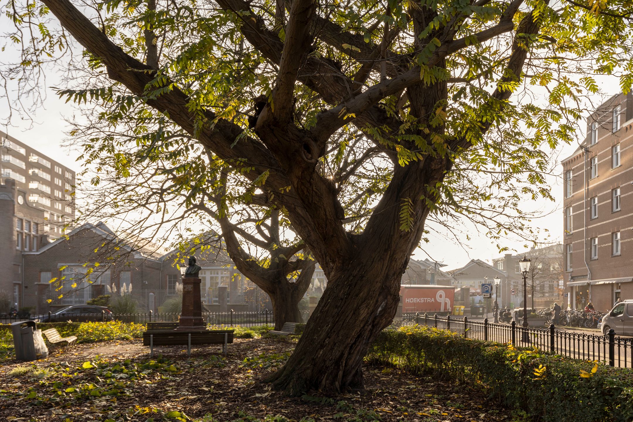 Photo 21 of Jan Hanzenstraat 17-3