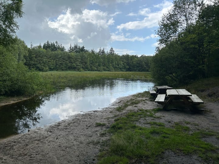 Photo 47 of Mepperdennenweg 3