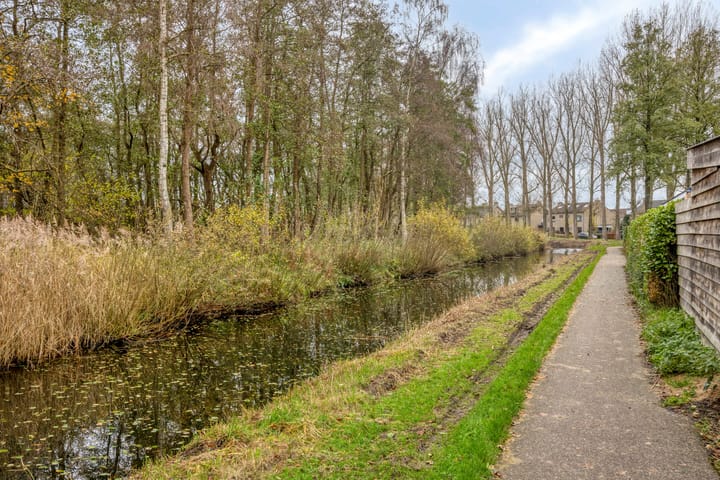 Photo 35 of Buntlaar 24