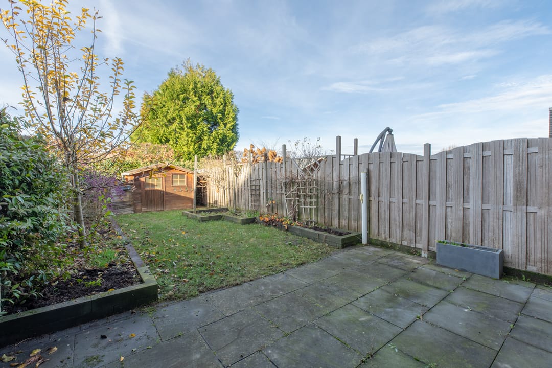 Foto 23 van Van Cosselaerstraat 33