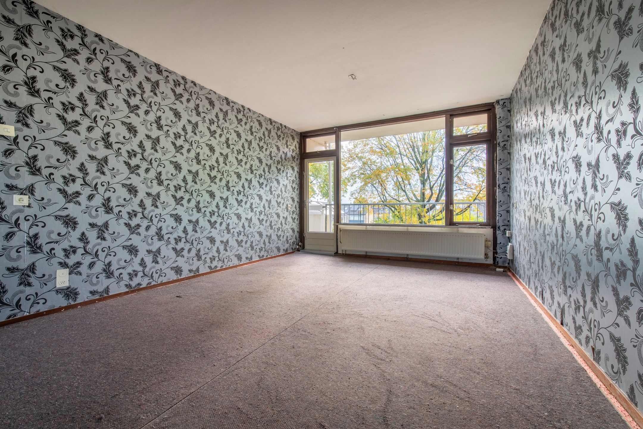 Foto 3 van Pollux 113