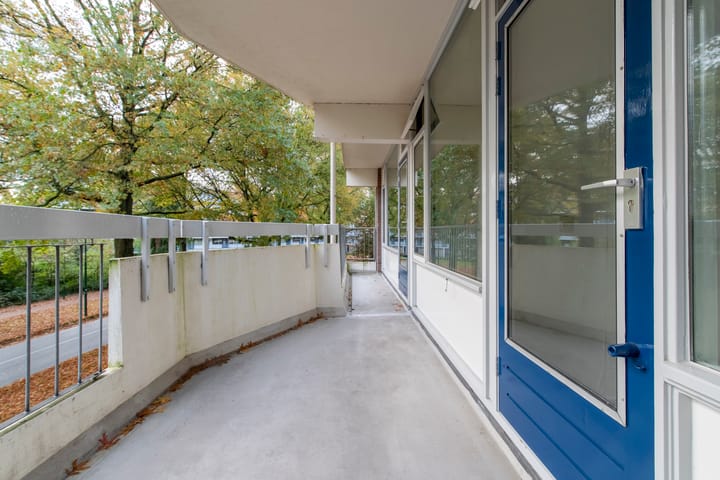 Foto 5 van Pollux 113