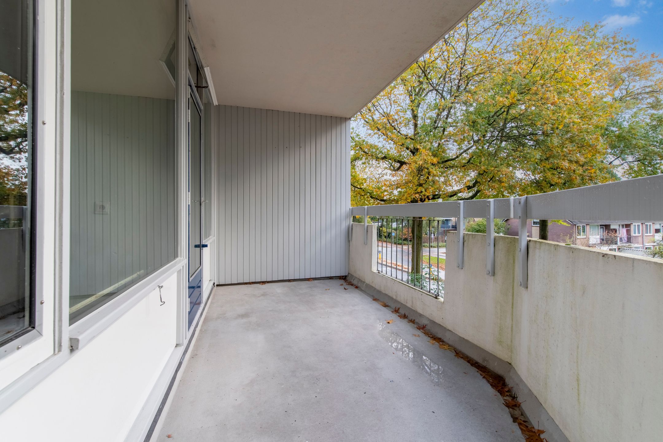 Foto 6 van Pollux 113