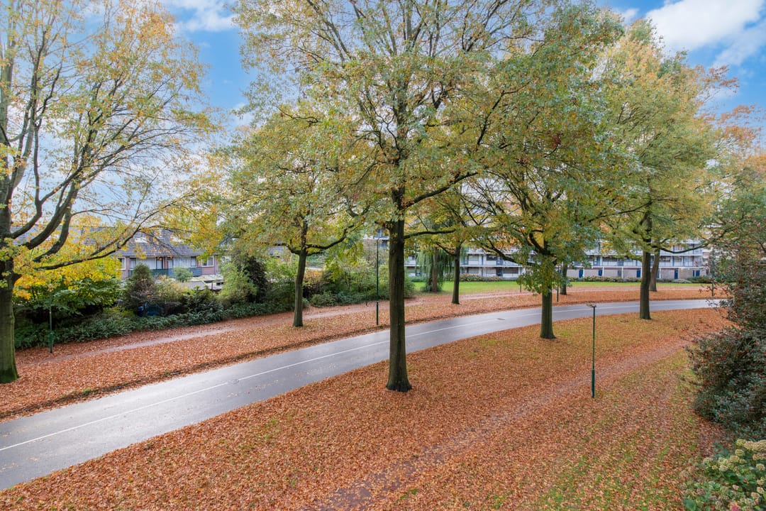 Foto 7 van Pollux 113