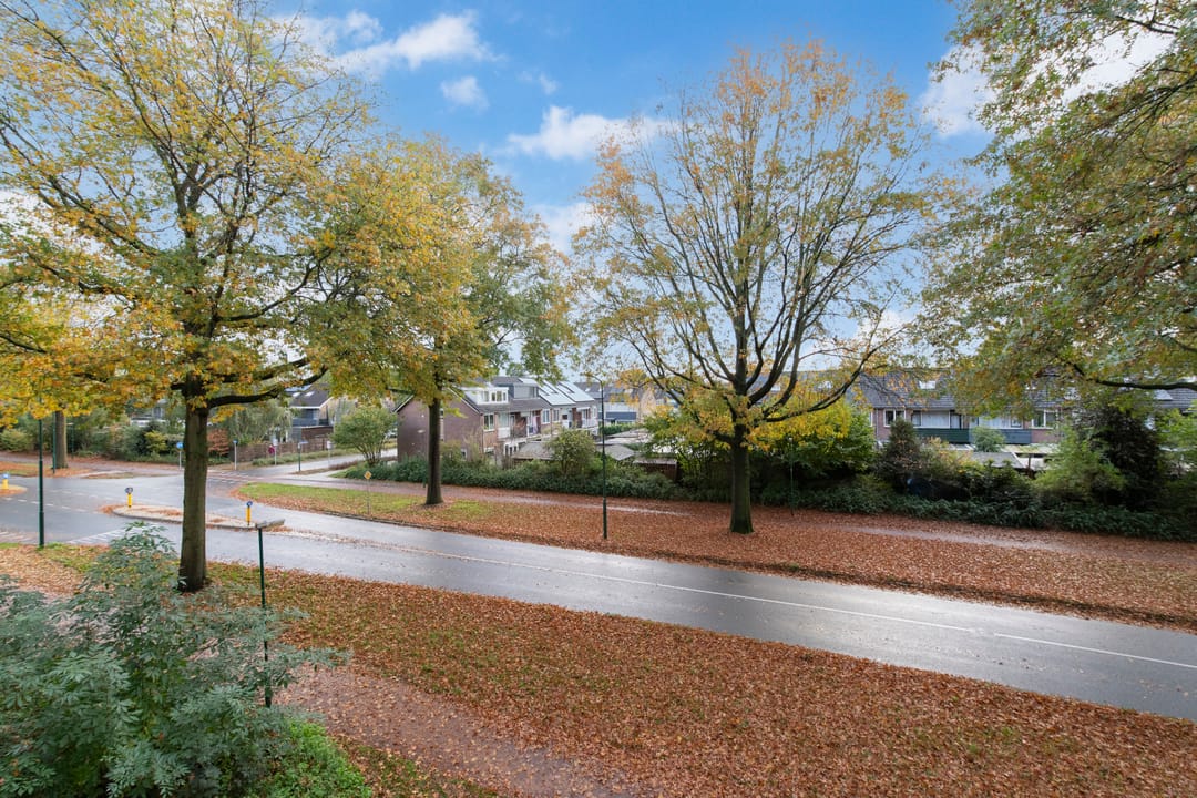 Foto 8 van Pollux 113