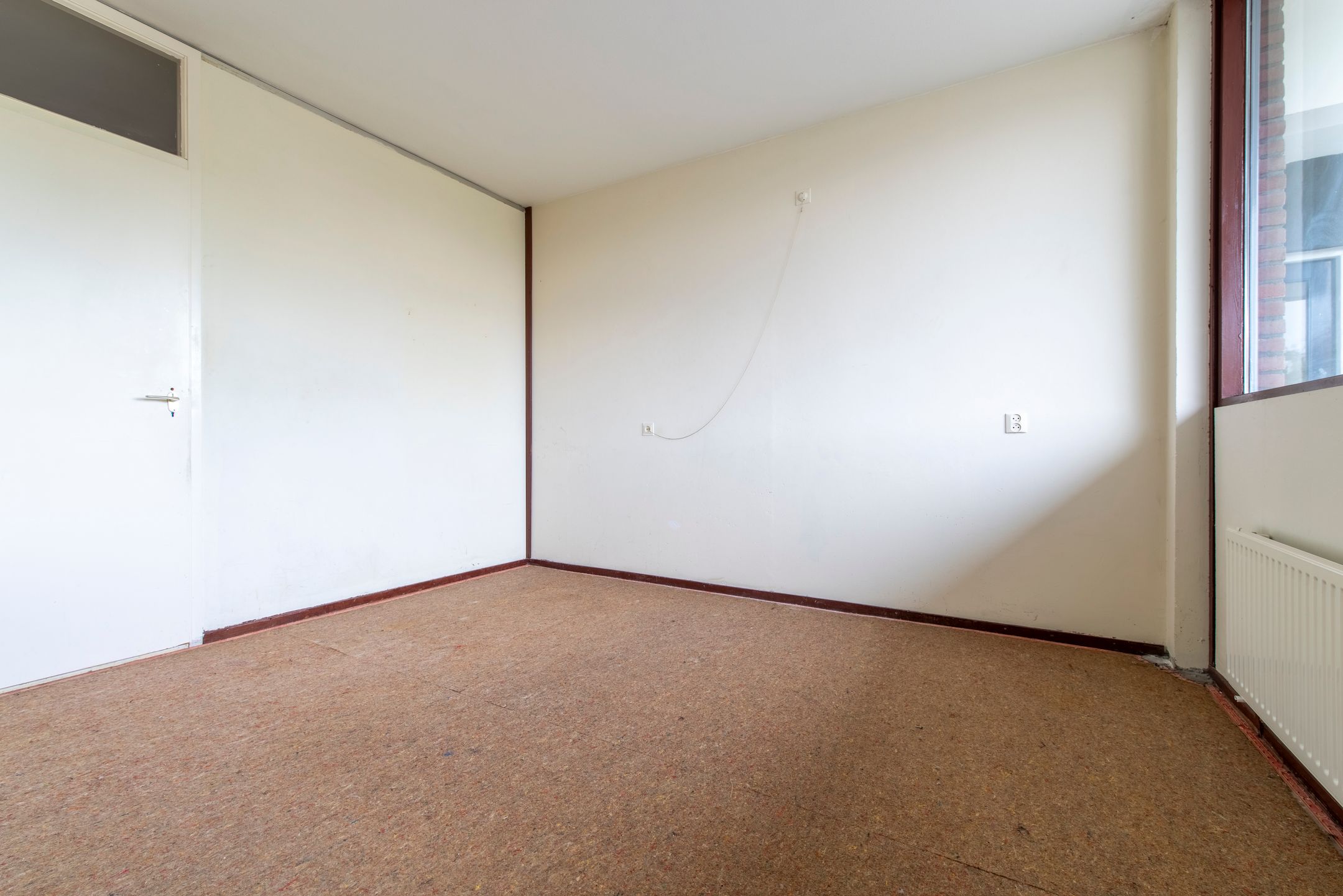 Foto 12 van Pollux 113